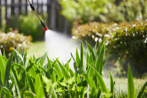 24/7 Emergency Fumigation Services experts in Rumson, NJ