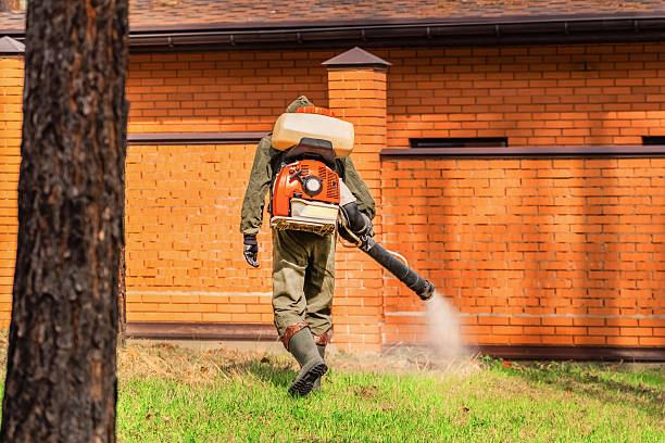 Top rated local Fumigation Services specialists in Rumson, NJ